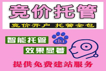 SEM搜索引擎优化实战案例分享，助力企业增长